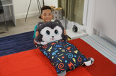 بالش و عروسک بغلکردنی Fluffaluff Pets